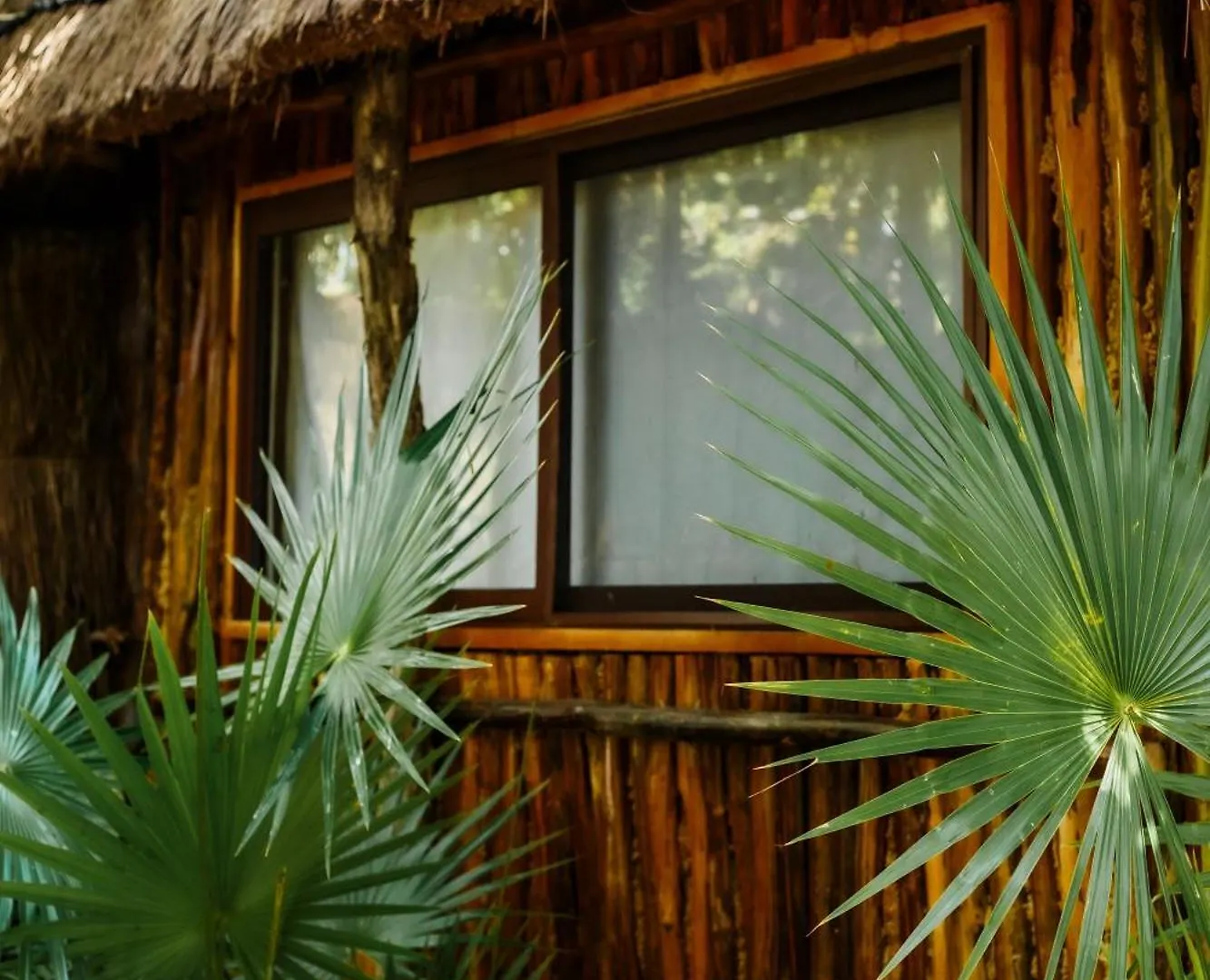 Eco Banitas Tulum Hotel 0*,  Mexico