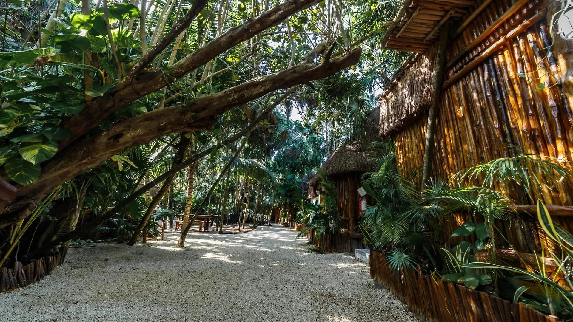 Eco Banitas Tulum Hotel