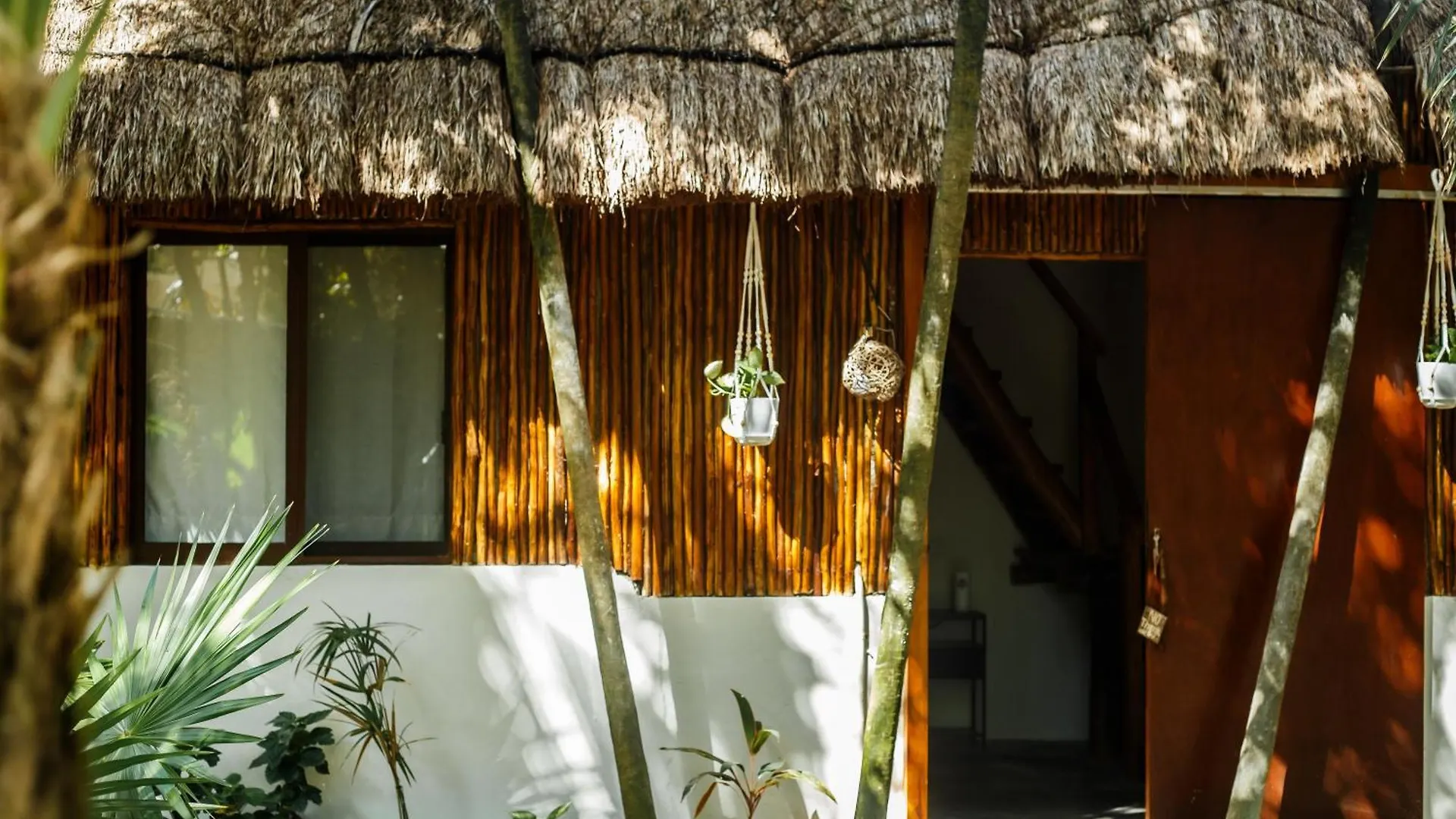 Eco Banitas Tulum Hotel