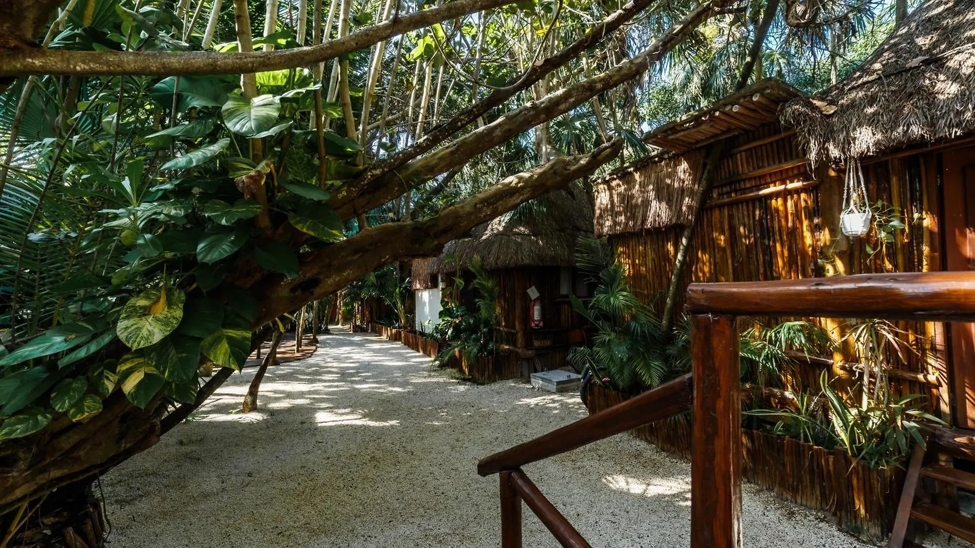 Hotel Co.Bañitas Tulum México
