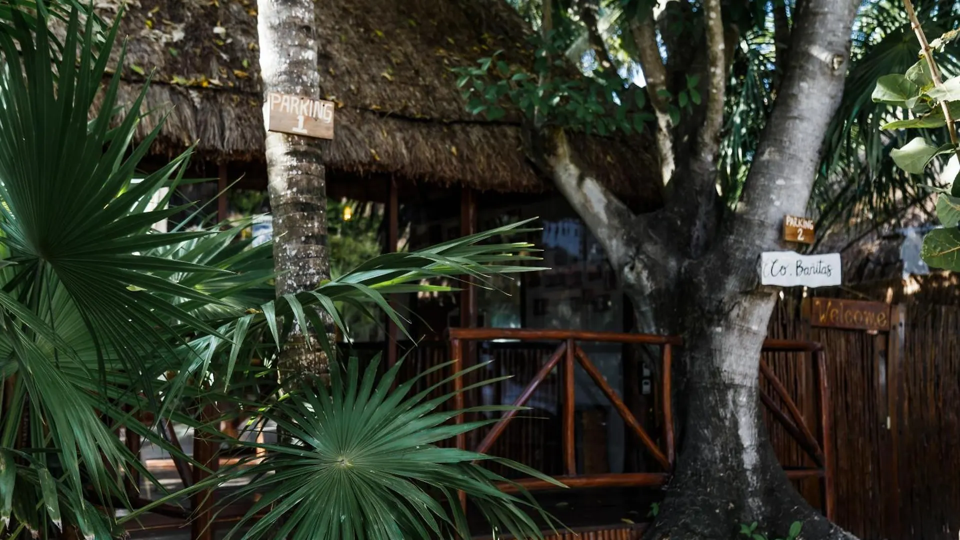 Eco Banitas Tulum Hotel