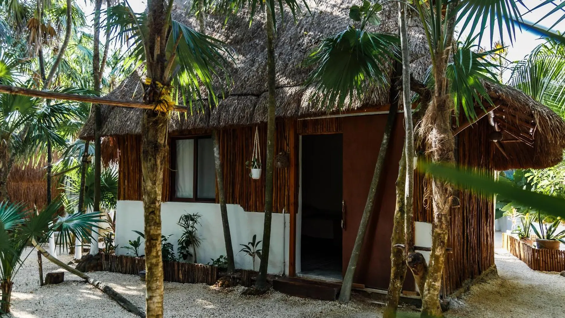 Hotel Co.Bañitas Tulum México