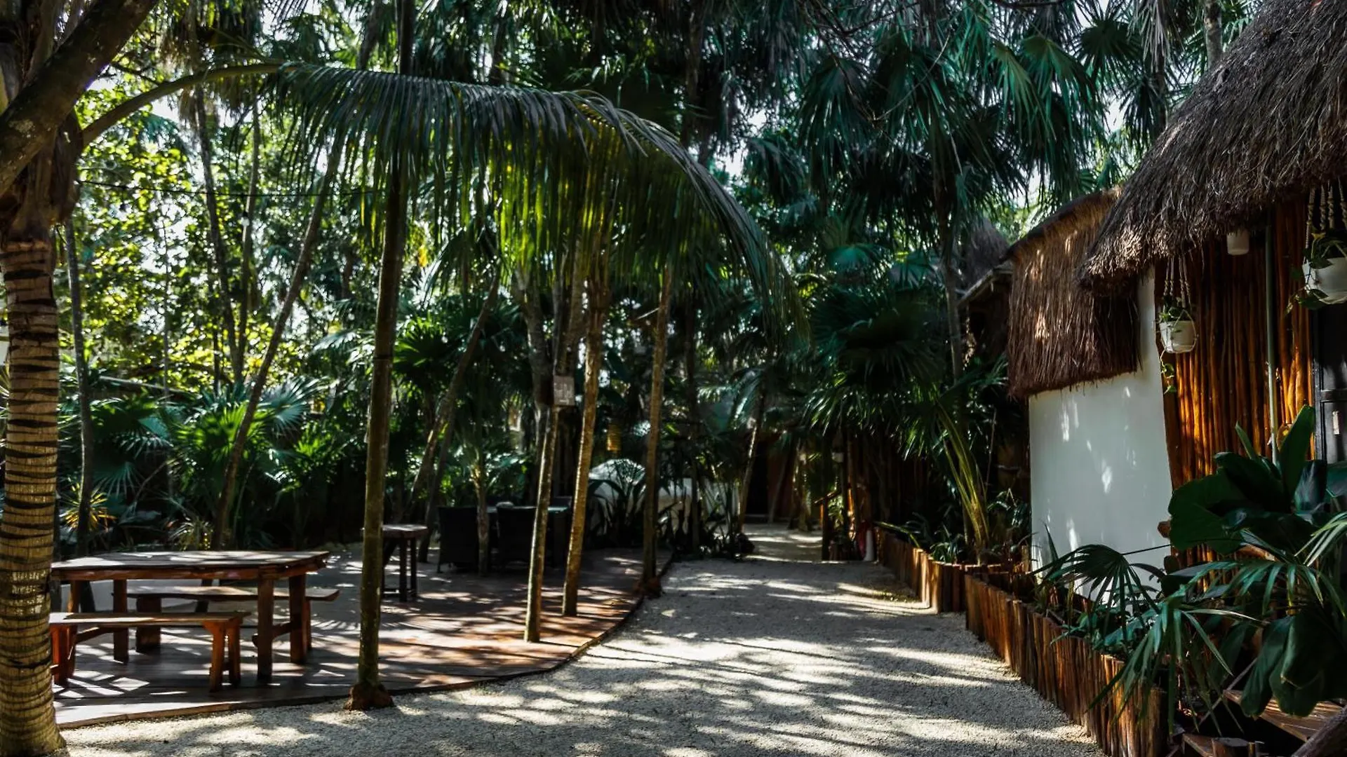 Eco Banitas Tulum Hotel 0*,  Mexico