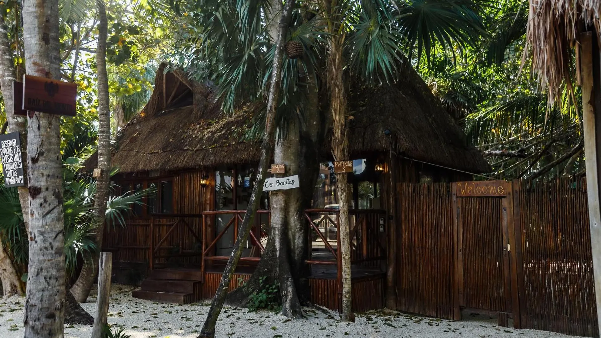 Eco Banitas Tulum 호텔 0*,