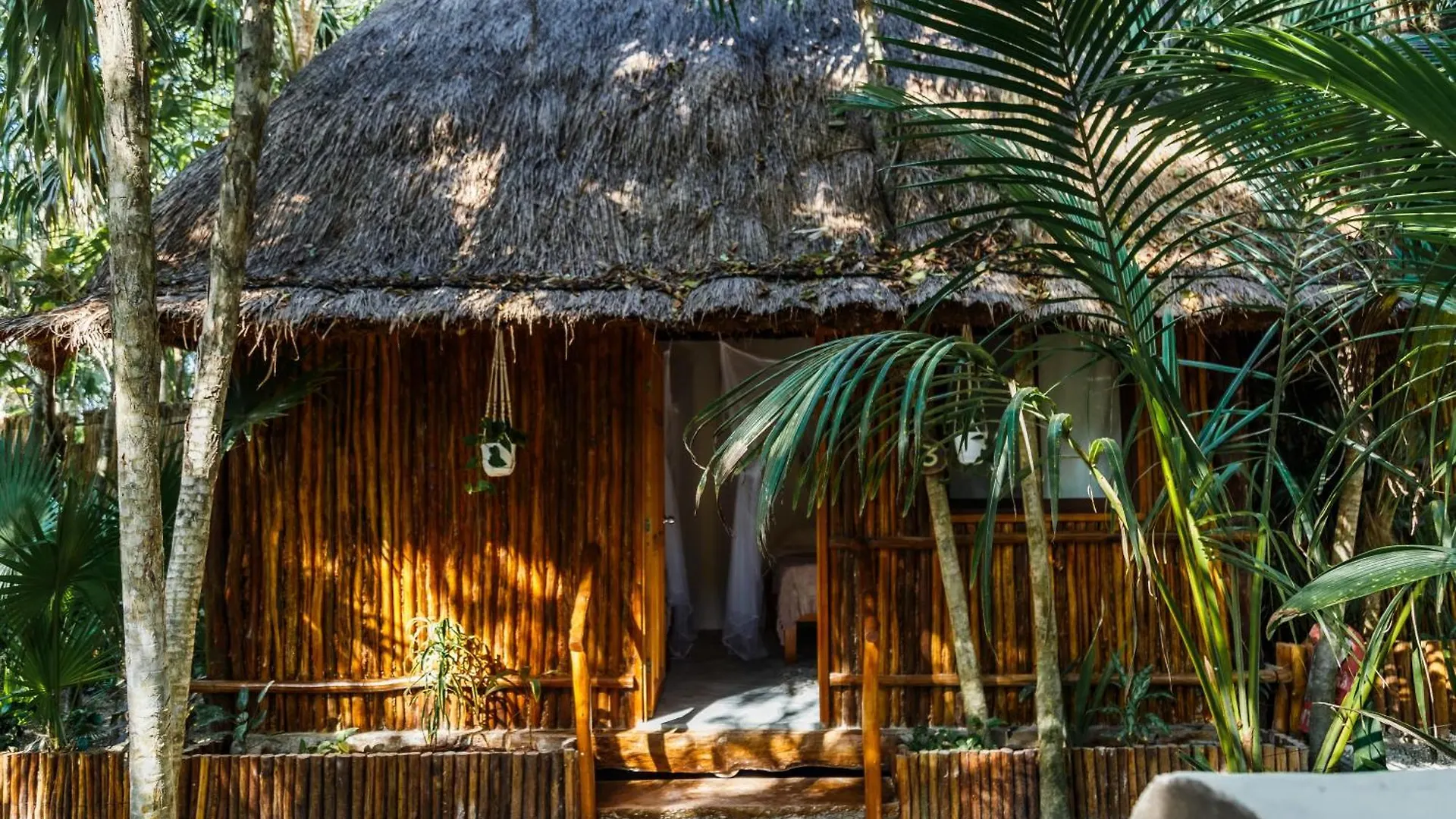 Eco Banitas Tulum 호텔